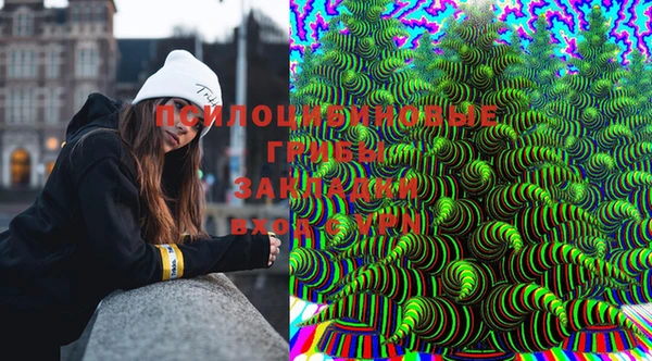 герыч Тында
