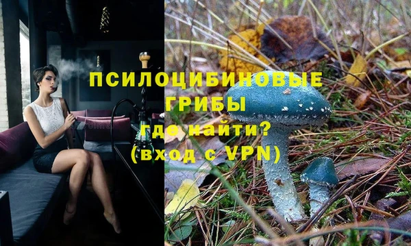 марки lsd Туринск