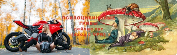 марки lsd Туринск