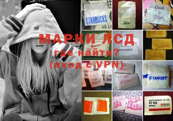 индика Волосово