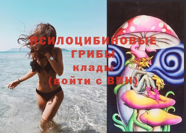 герыч Тында