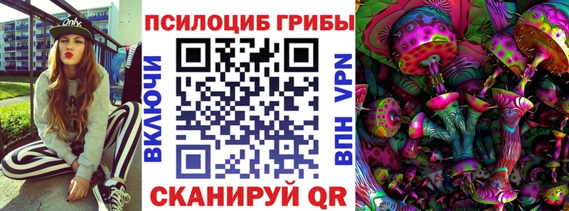 Псилоцибиновые грибы Cubensis наркота Новое Девяткино